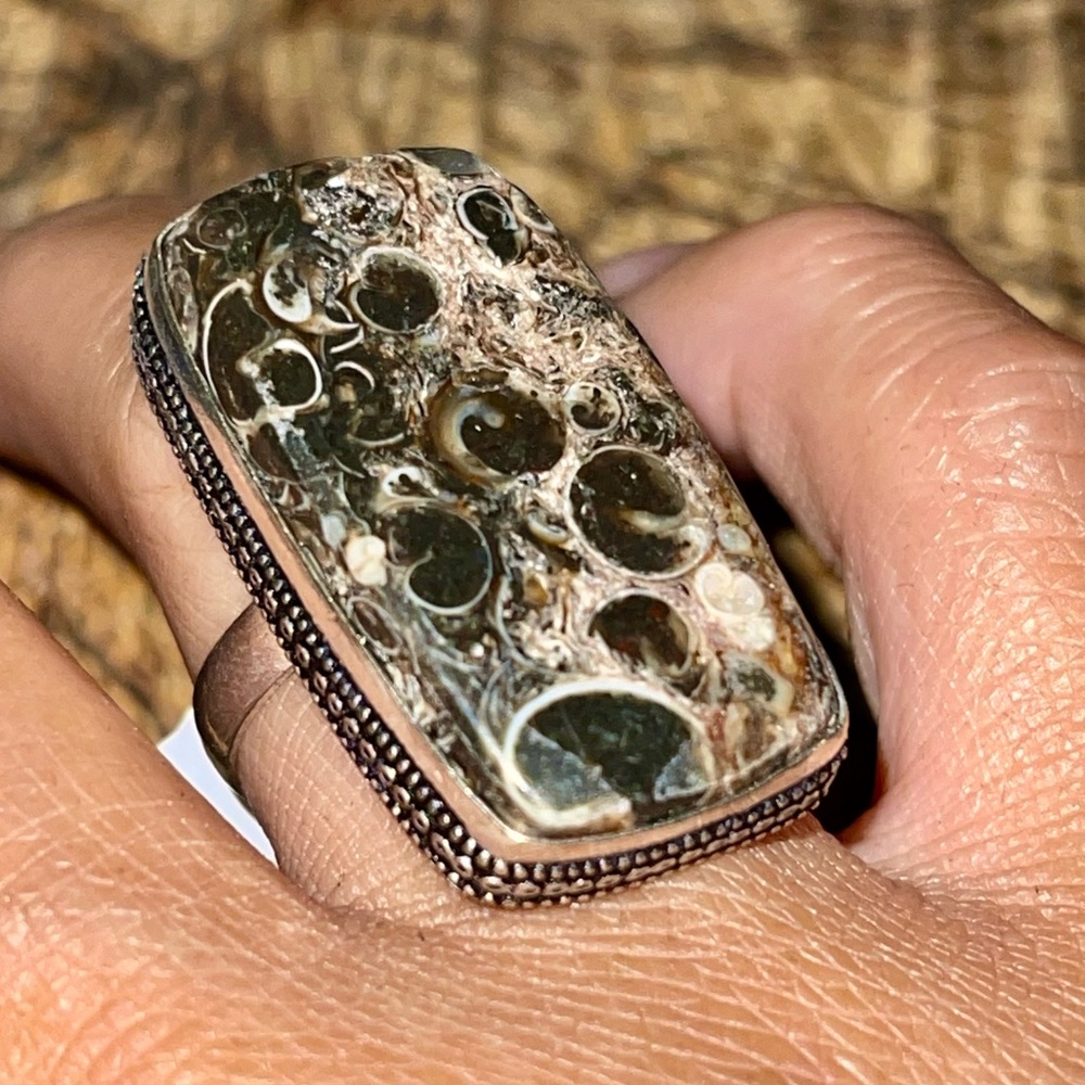 Turritella Ring Size 8 1/2